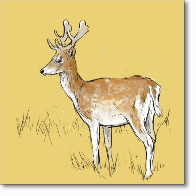 Greetings card 'Fallow Stag' by Ed Stokes