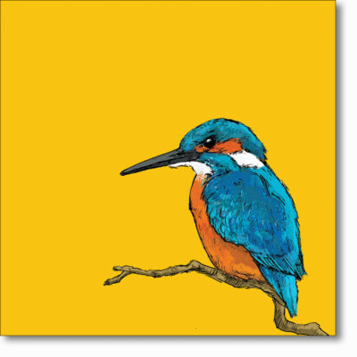 Greetings card 'Kingfisher' by Ed Stokes