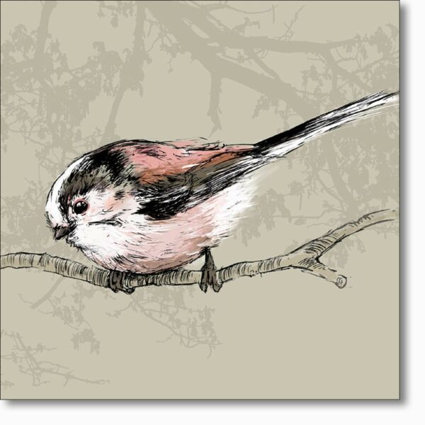 Greetings card 'Long Tailed Tit' by Ed Stokes