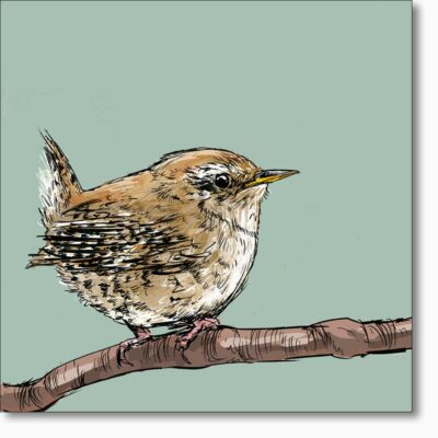 Greetings card 'Wren' by Ed Stokes