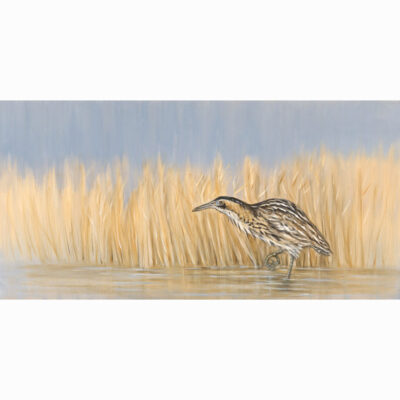 Oil on canvas painting 'Bittern' by Bella Bigsby
