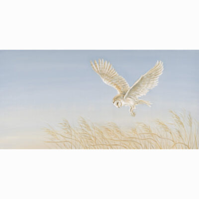 Oil on canvas painting 'Owl and Reeds' by Bella Bigsby
