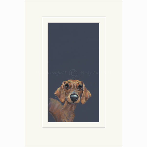 Limited Edition Print 'Sausage' (mounted) by Nicky Litchfield