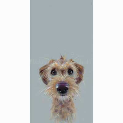 Limited Edition Print 'Scruff' by Nicky Litchfield