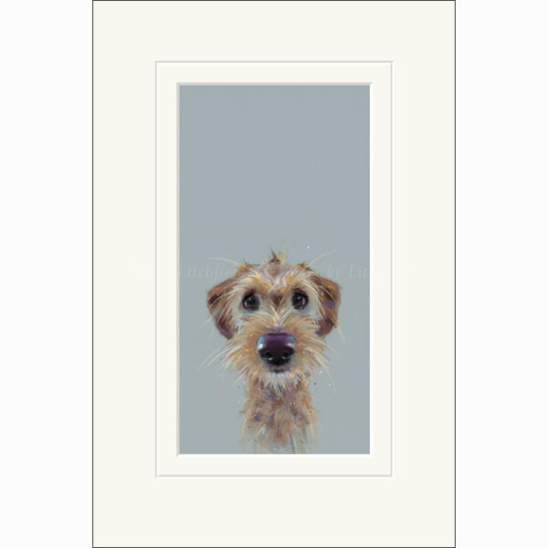 Limited Edition Print 'Scruff' (mounted) by Nicky Litchfield