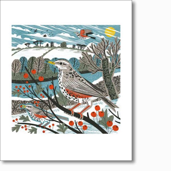 Greetings card 'Redwing Haws' by Matt Johnson