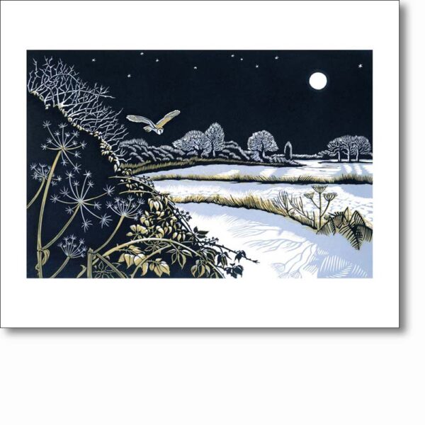 Greetings card 'Night Flight' by Niki Bowers