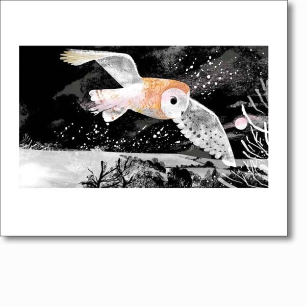 Greetings card 'Winter Owl' by Tim Hoopgood