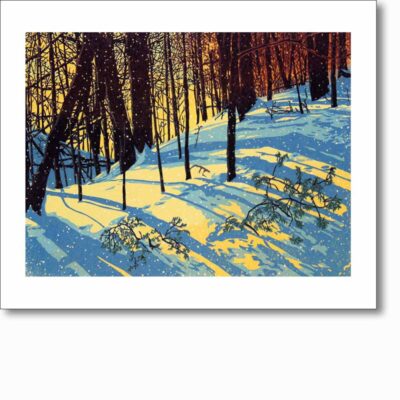 Greetings card 'Sunshine Snowfall' by William H. Hayes