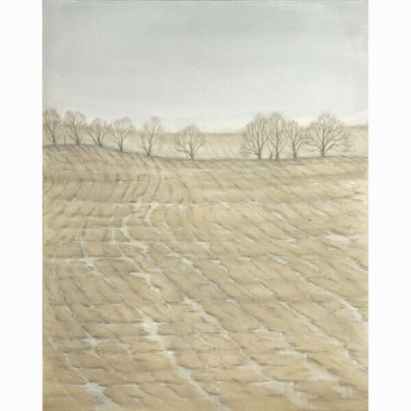 Oil on canvas painting 'Puddles and Field' by Bella Bigsby