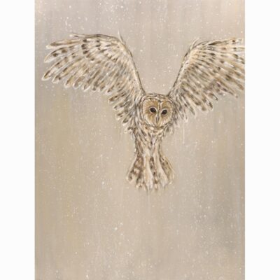 Oil on canvas painting 'Tawny Owl and Snow' by Bella Bigsby