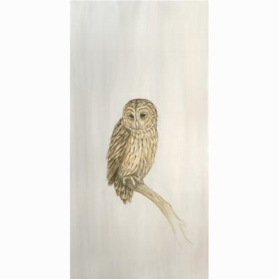 Limited Edition Giclee Print 'Tawny Owl' by Bella Bigsby